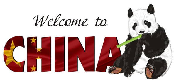 Lindo Panda Inscripción Bienvenida China — Foto de Stock