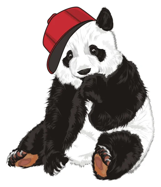 Mignon Panda Dans Cool Chapeau Rouge Assis — Photo