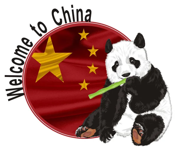 Lindo Panda Con Bandera Roja Con Bandera Inscripción — Foto de Stock