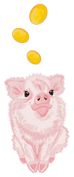 little pink pig with many yellow cents