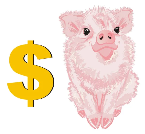 Kleines Rosa Schwein Und Dollarzeichen — Stockfoto