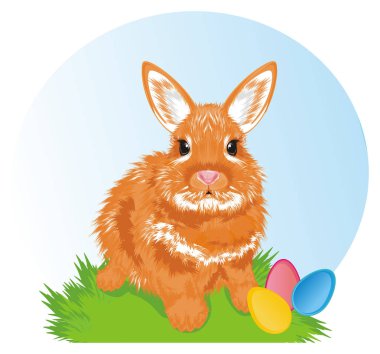 küçük portakal Paskalya tavşanı ve Bahar