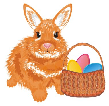 küçük portakal bunny Paskalya sepeti ile
