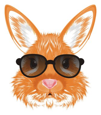 siyah güneş gözlüğü turuncu Tavşan Başkanı