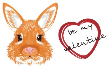 Turuncu bunny kafa, kalp kelimelerle işaret ile