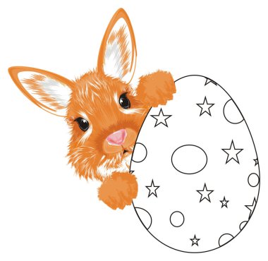 Turuncu Tavşan Başkanı boyama yumurta tutun