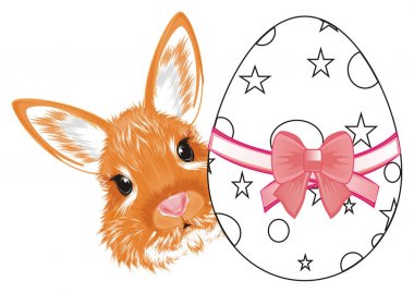 bir yay ile boya yumurtadan kadar portakal bunny göz yüz