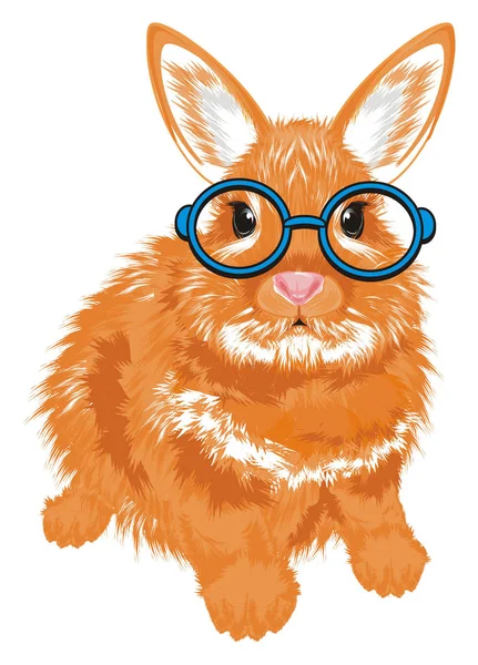 Kleiner Orangefarbener Hase Blauer Brille — Stockfoto