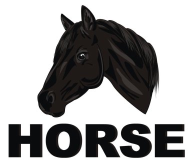 siyah at ve siyah kelime at başkanı