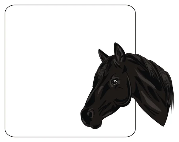 Kopf Des Schwarzen Pferdes Und Großes Sauberes Papier — Stockfoto