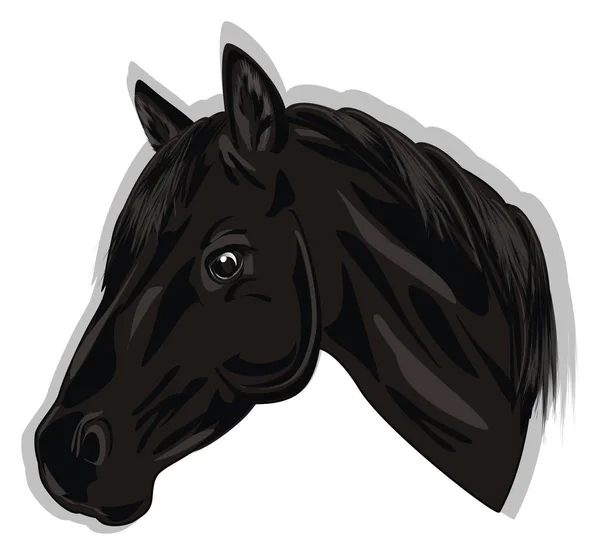 Head Black Horse Gray Shadow — Stock Photo, Image