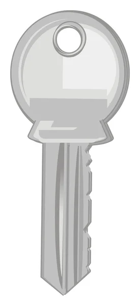 One Metal Key White Background — Stock Photo, Image