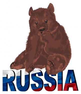 boz ayı üst üzerinde renkli kelime otur.