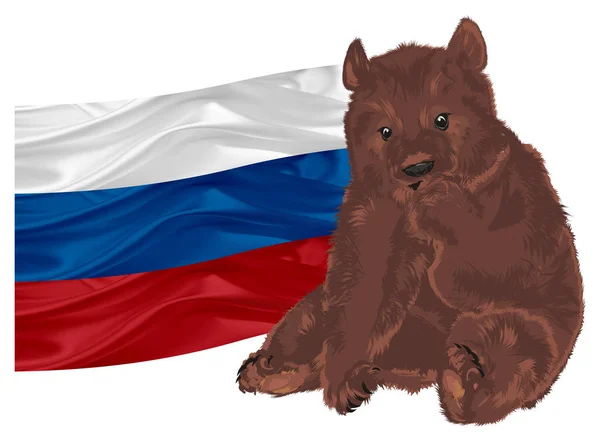 Urso Marrom Sentar Com Grande Bandeira Russa — Fotografia de Stock