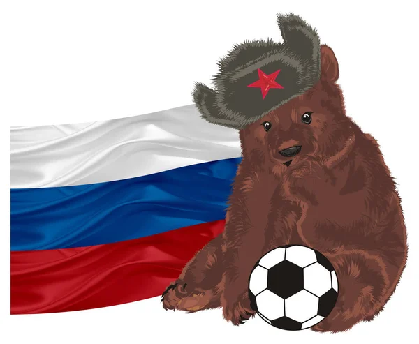 Russischer Bär Mit Russischer Flagge — Stockfoto