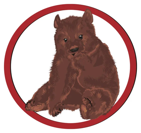 Brown Bear Sit Red Sign — Stock Photo, Image