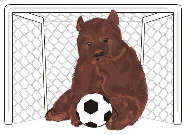 Urso Marrom Com Uma Bola Futebol Sentar Portão — Fotografia de Stock