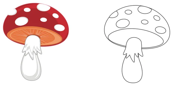 Színes Amanita Coloring Amanita — Stock Fotó