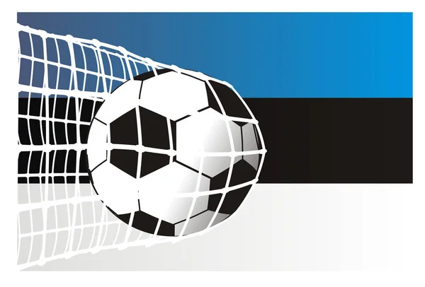 Goal Anf Flag Estonia — Stock Photo, Image