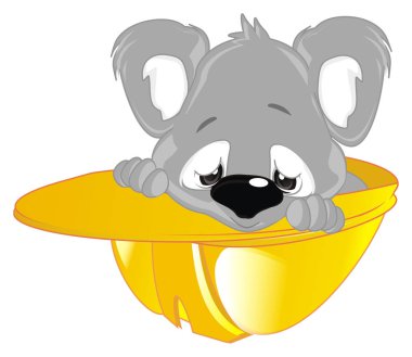 Küçük koala otur ve kasktan yukarı bak.