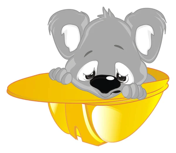 Smutne Dziecko Koala Zerknąć Górę Kasku — Zdjęcie stockowe