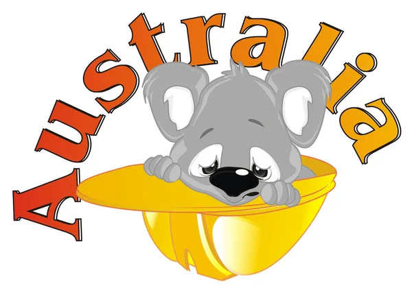 Disastro Australia Pianto Koala — Foto Stock