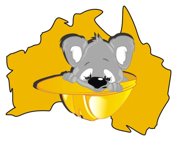Gråtande Koala Och Australisk Kontinent — Stockfoto