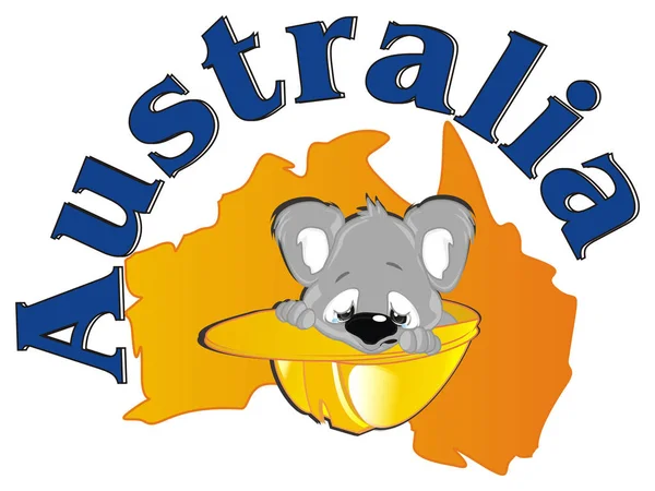 Ramp Australië Continent Baby Koala — Stockfoto