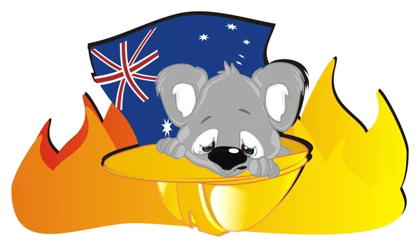 Módl Się Australię Koalę — Zdjęcie stockowe