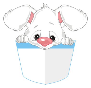 Beyaz tavşan cebinde oturuyor.