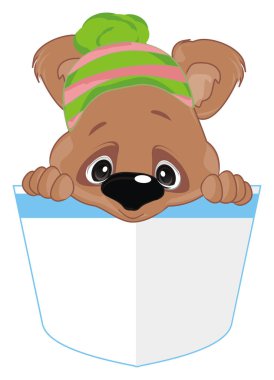 Kış şapkalı oyuncak ayı.