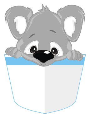 Şirin koala, cebinde otur.