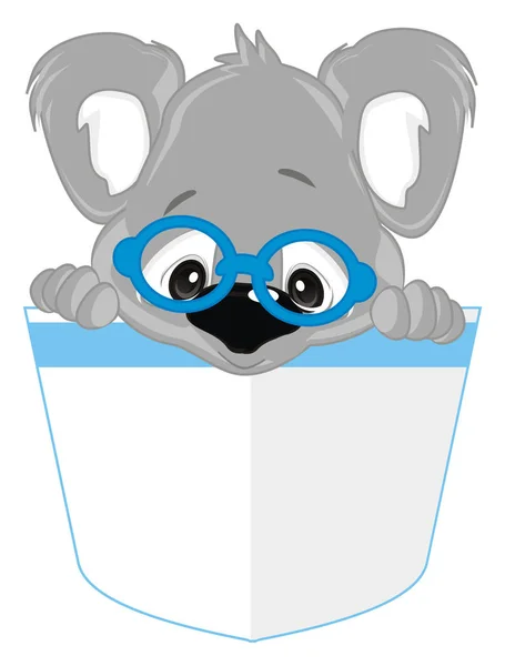 Drăguț Koala Ochelari Rotunzi Albastru — Fotografie, imagine de stoc