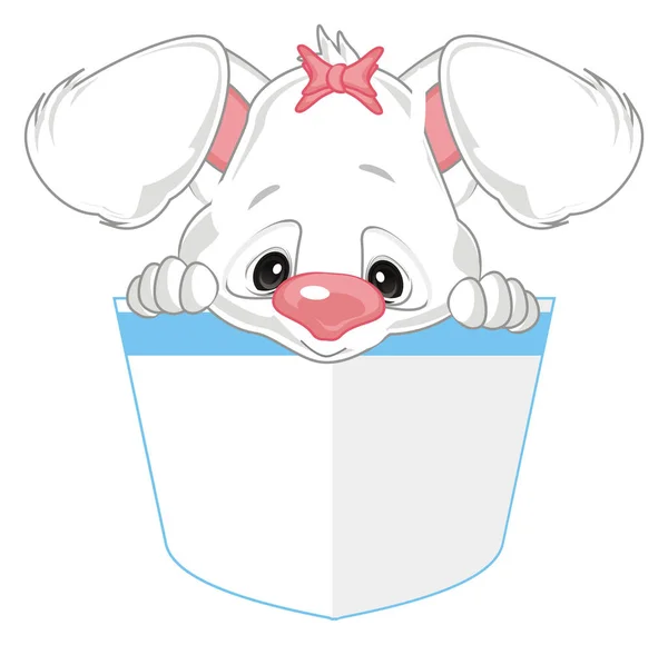 White Bunny Girl Bow — Free Stock Photo