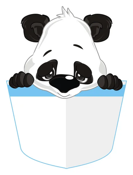 Infelice Piccolo Panda Sedersi Tasca — Foto Stock