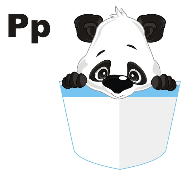Liten Panda Och Bokstäver — Stockfoto