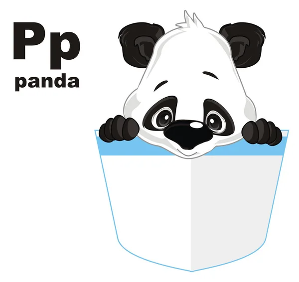 Mała Panda Czarny Abc — Zdjęcie stockowe