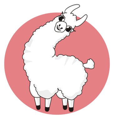 Beyaz lama ve pembe tabela