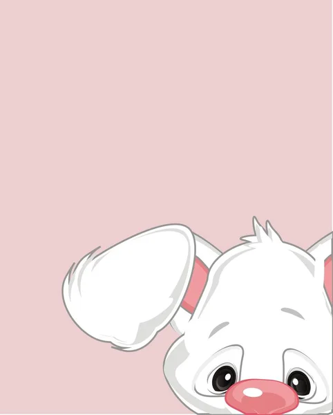 Cute White Bunny Pink Background — Stock Photo, Image