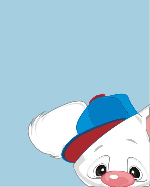Симпатичный Белый Кролик Голубой Карточке — стоковое фото