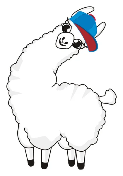 White Llama Blue Cap — Stock Photo, Image