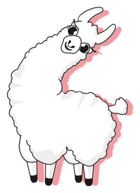 Pembe gölgeli beyaz lama