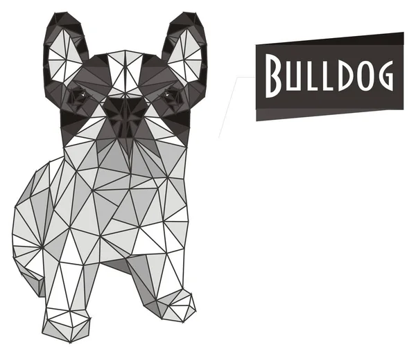 Papercraft Französische Bulldogge Und Poster — Stockfoto