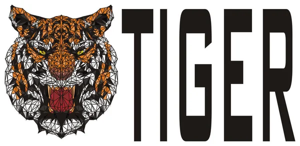 Tigre Letras Pretas — Fotografia de Stock
