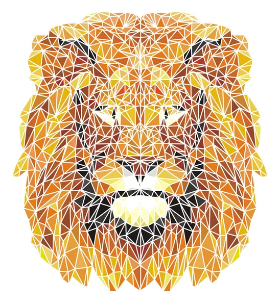 Lion White Lines — Stock Photo, Image