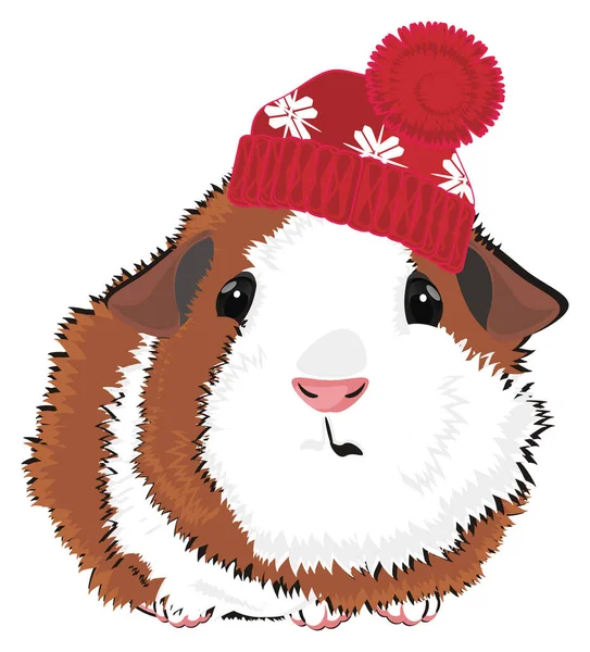 Guinea Pig Red Xmas Hat — Stock Photo, Image