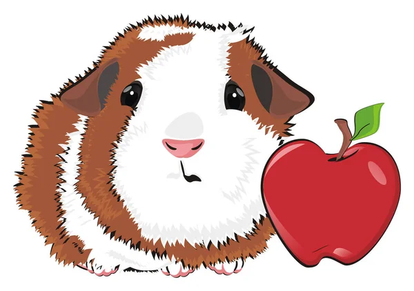 Cavia Liefde Eet Een Appel — Stockfoto