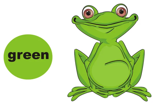 Grüner Frosch Ist Eine Grüne Farbe — Stockfoto