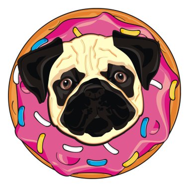 Pug peg 'in burnu donuttan yukarı bakıyor.