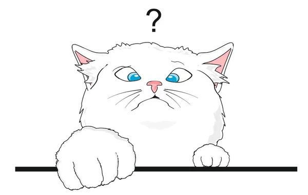 Белый Котёнок Вопросительный Знак — стоковое фото